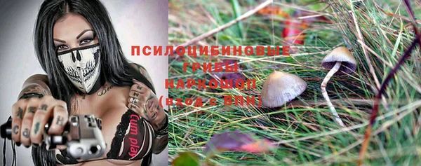 ALPHA-PVP Бородино