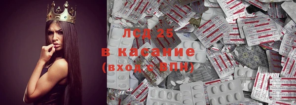 трава Слюдянка